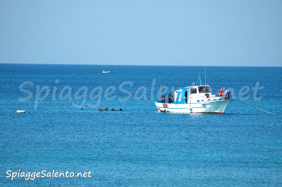 Subacquea Le Immersioni Nel Salento Spiaggesalentonet